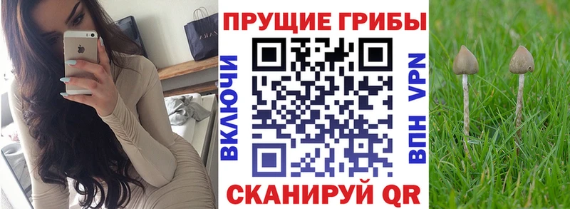 Псилоцибиновые грибы Psilocybine cubensis  как найти наркотики  KRAKEN зеркало  Волчанск 